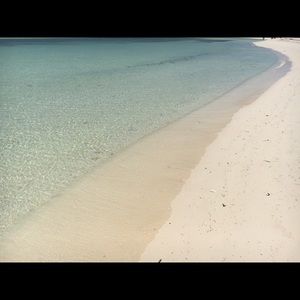 Meet your Posher, Elyse